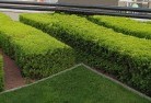 Matta Flatcommercial-landscaping-1.jpg; ?>